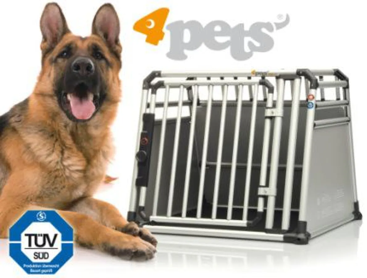 Hunde-Transportbox 