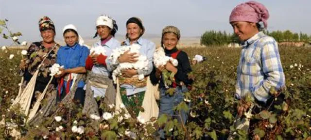 Bild: Wie ist das eigentlich mit der Nachhaltigkeit bei Bettwaren?