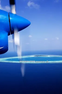 Bild: Wasser in allen Blautönen und Fisch, der frischer nicht sein könnte