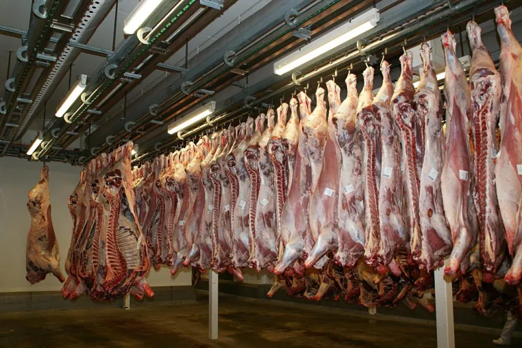 Bild: ÖDP kritisiert Tierschutz in Niedersachsen