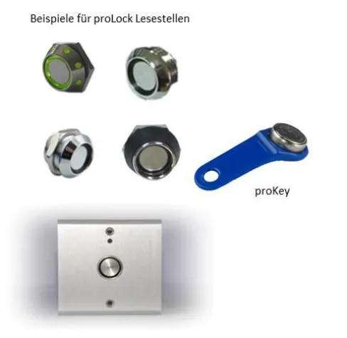 Bild: »Gebt den Kindern das Kommando«