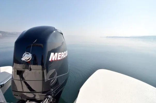 Bild: Wilde Flotte – Die Segel- und Wassersportschule in Konstanz-Wallhausen