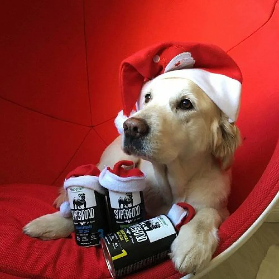 FeedGreen Geschenkidee