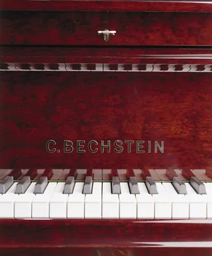Bild: Syzygy gewinnt Online-Etat von C. Bechstein