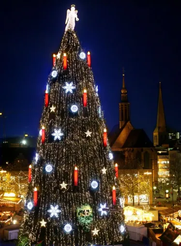 93 % der Österreicher wollen einen Christbaum Bild: 93 % der Österreicher wollen einen Christbaum