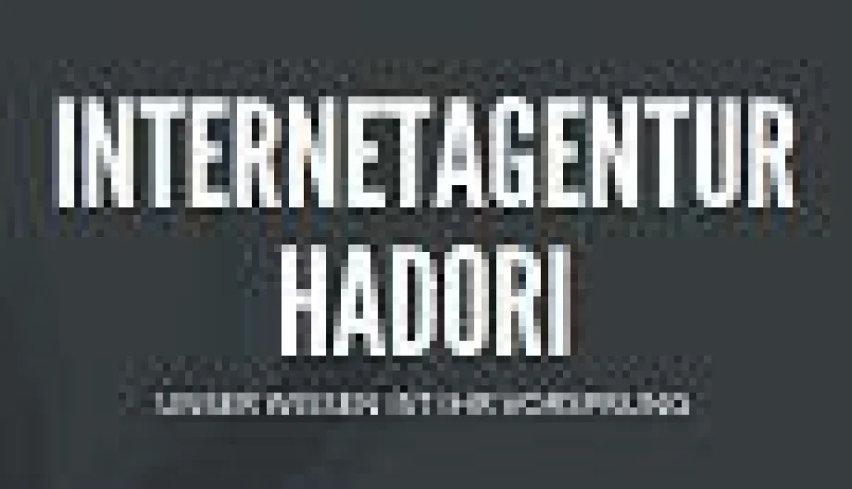 Internetagentur Hadori