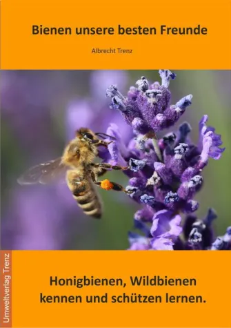 Bild: Bienen unsere besten Freunde