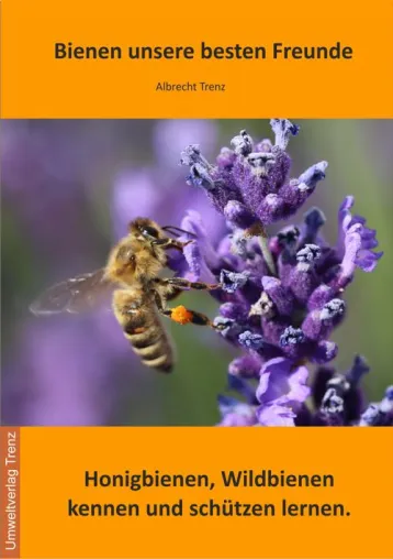 Bild: Bienen unsere besten Freunde