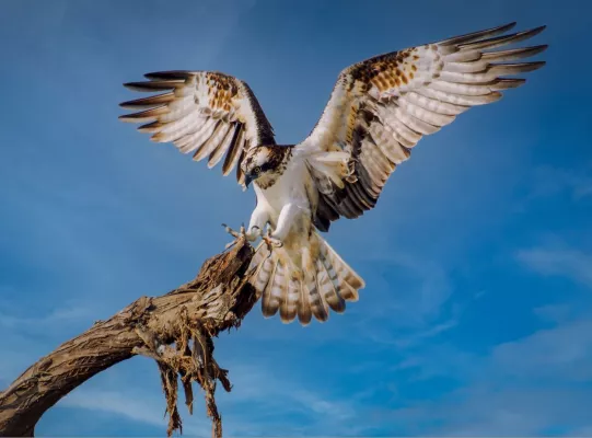 Bild: Berliner Sake Startup schützt 20.000 Quadratmeter im Naturparadies Stechlinseegebiet