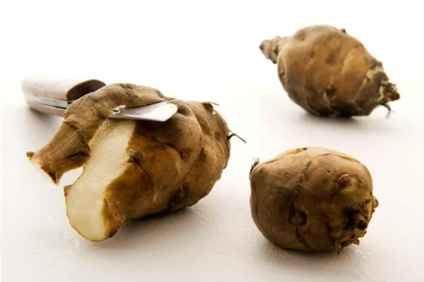 Topinambur - eine unterschätzte Heilpflanze Bild: Topinambur - eine unterschätzte Heilpflanze