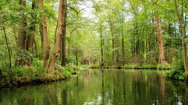 Deutschlands Wasserstoffzukunft entscheidet sich in Lübben Bild: Deutschlands Wasserstoffzukunft entscheidet sich in Lübben