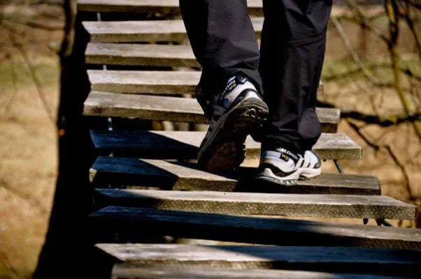 Bild: Neueröffnung – Kletterwald Reit im Winkl: Höhenflüge am 793 m hoch gelegenen Gebirgspass