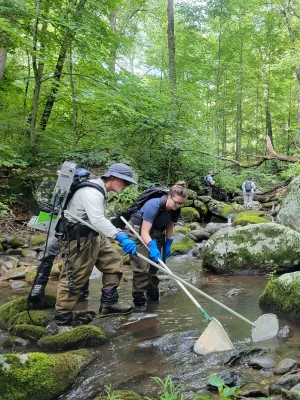 Bild: Klimawandel bedroht Fischvielfalt : Nature-Studie belegt Rückgänge in kühlen US-Gewässern