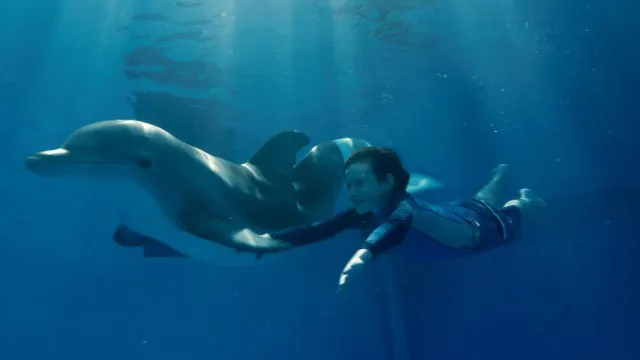 Bild: "Mein Freund, der Delfin" ist Kinderfilm des Monats Juni