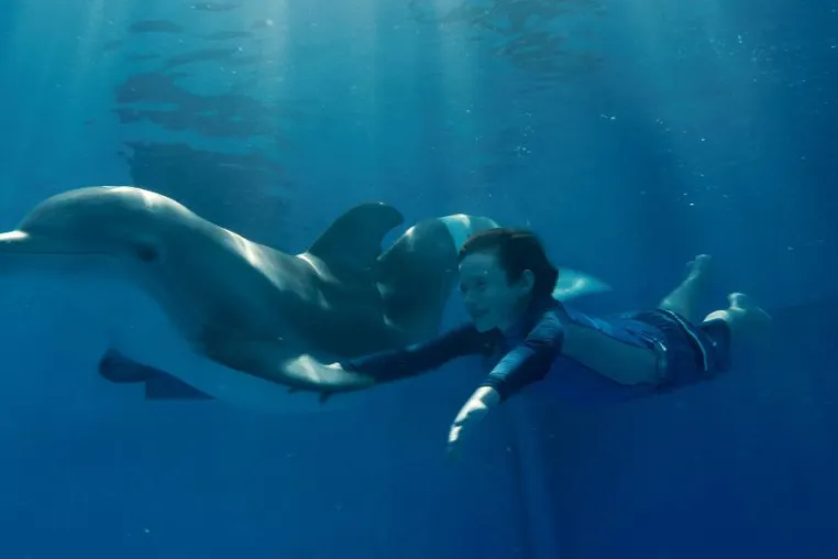 "Mein Freund, der Delfin" ist Kinderfilm des Monats Juni Bild: "Mein Freund, der Delfin" ist Kinderfilm des Monats Juni