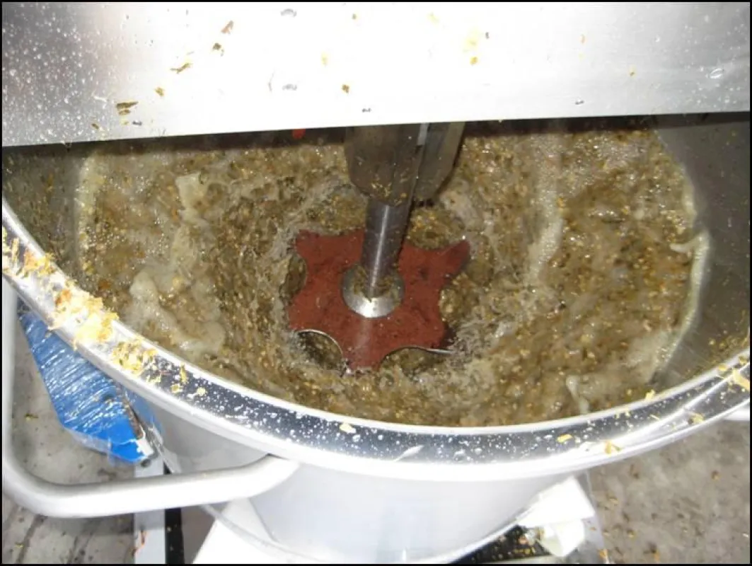 Mit einem Dissolver können Biogasanlagenbetreiber ihre Gasproduktion steigern.