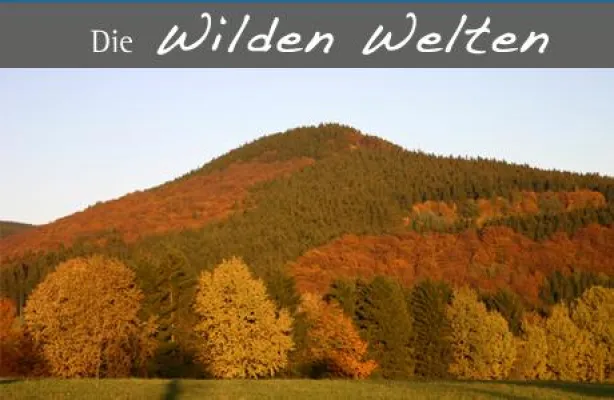 Bild: Herbstzeit – Wanderzeit - Wandern auf dem Hohen Knochen im Sauerland