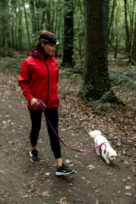 Bild: Hunderunde durchs Dunkle: Zweibrüder sorgt für sicheres Licht