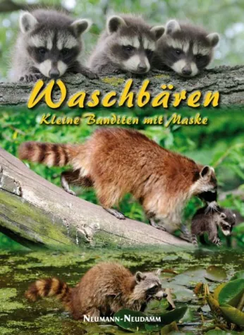 Bild: "Waschbären. Kleine Banditen mit Maske" - Neu im Verlag J. Neumann-Neudamm