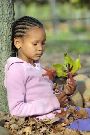 Bild: Genitalverstümmelung in Hamburg: Rund 1.000 minderjährige Mädchen bislang ohne Schutz