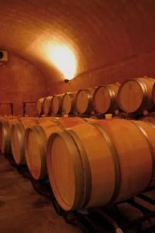 Bild: Wein Mallorca - Bodega Finca Biniagual - Weinbau im eigenen Dorf