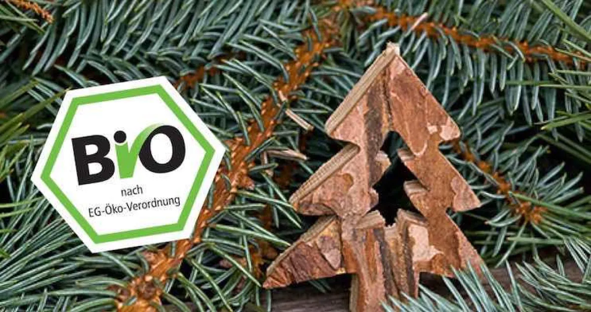 Bio-Weihnachtsbäume auf Lenges Hof
