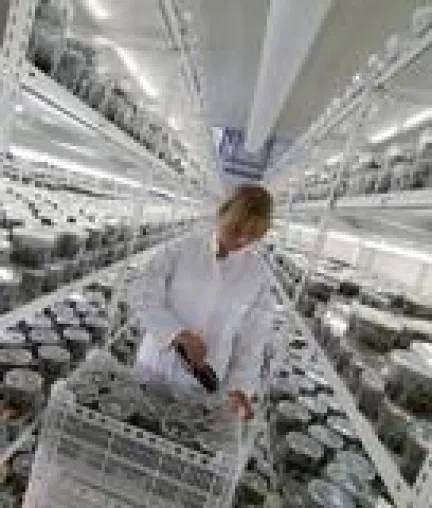 Bild: RFID Stapellesung bei Hark Orchideen - Mit Sicherheit verwechslungsfrei