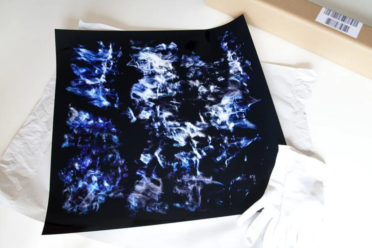 Zu gewinnen (erster Preis): FIREBIRD, original c-print in 50x50cm