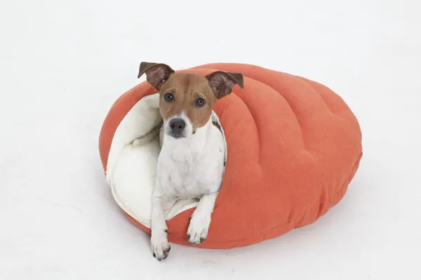 Bild: BUBBLE das kleine Hundebett mit Kuschelfaktor