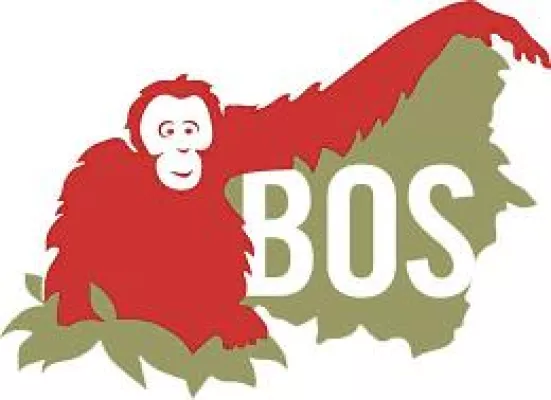 Bild: Große Ehre für Borneo Orangutan Survival (BOS): Jürgen Trittin übernimmt Schirmherrschaft von BOS Deutschland