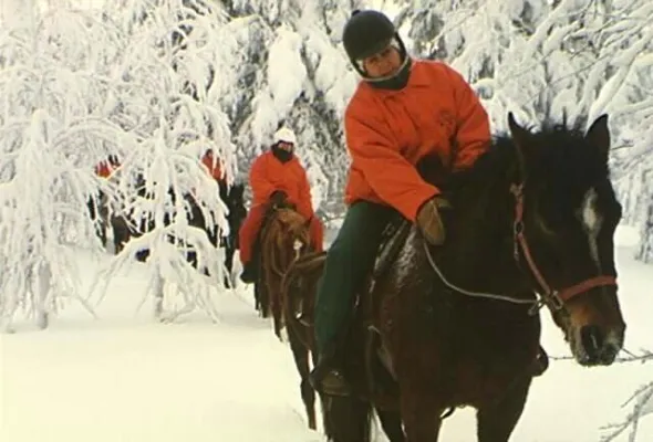 Wildmarkscamp Kulmungi: »Curlie Pferde - Kinderlager und Familienarrangements« Bild: Wildmarkscamp Kulmungi: »Curlie Pferde - Kinderlager und Familienarrangements«