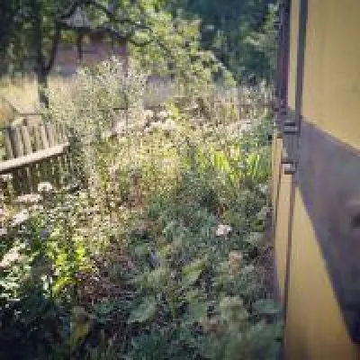 Bild: Fünf vor zwölf oder klemmt nur der Zeiger?