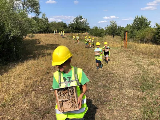 Bild: Insektenhotel bauen am Naturlehrpfad – Opterra vermittelt Umweltschutz hautnah