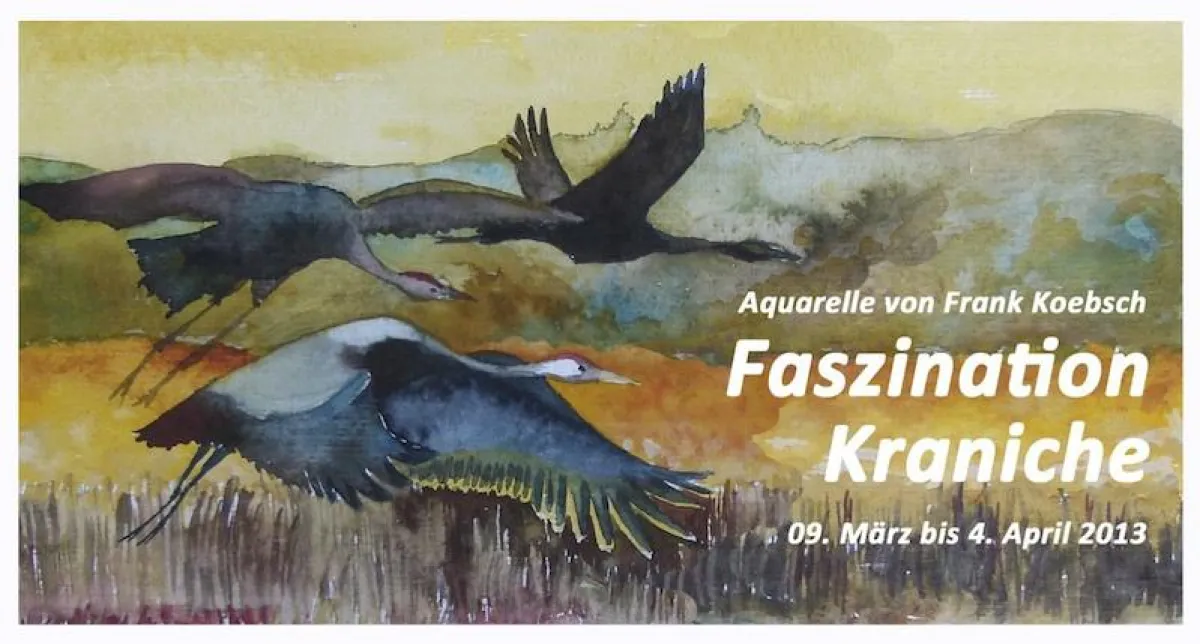Kranich-Aquarell von Frank Koebsch
