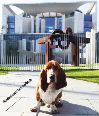 Bild: „Hundeshauptstadt Berlin“ in der VIP-Jury bei der Wahl zum Hundeskanzler 2013