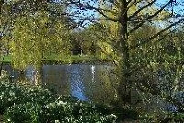 Workshop - Mit "Green IT" Kosten reduzieren in der EDV Bild: Workshop - Mit "Green IT" Kosten reduzieren in der EDV