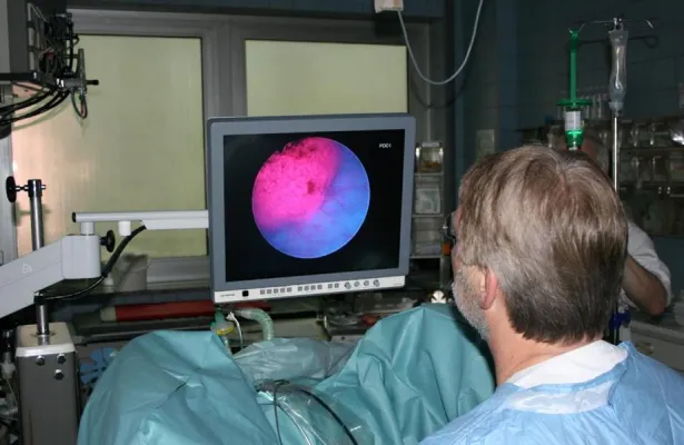 Bild: Dem Tumor auf der Spur