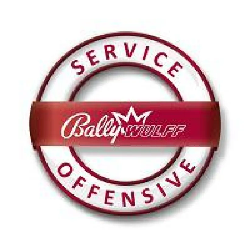 BALLY WULFF Techniker Schulungen