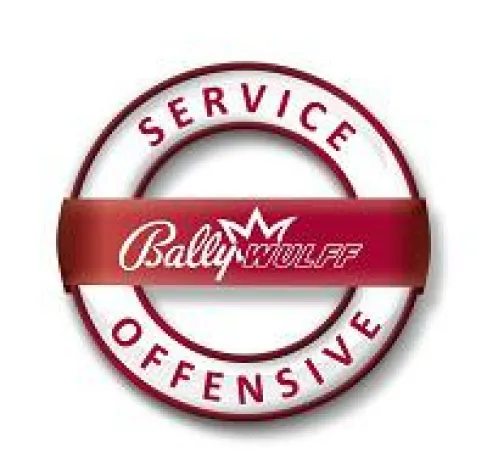 Techniker Schulungen von BALLY WULFF Bild: Techniker Schulungen von BALLY WULFF