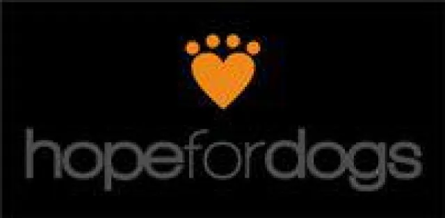 Bild: Hope for Dogs e.V. lädt zur Weihnachtsfeier in das Tierheim Györ und sucht Tierpaten