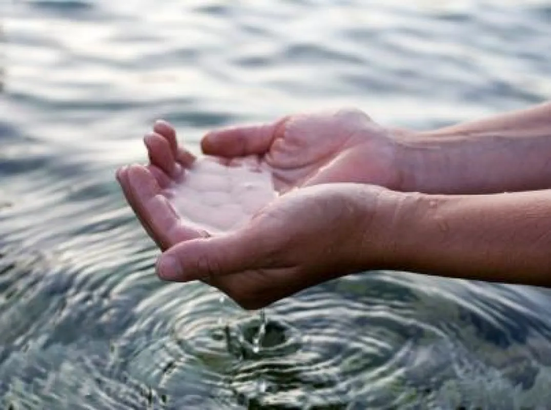 Wasser - Quell des Lebens