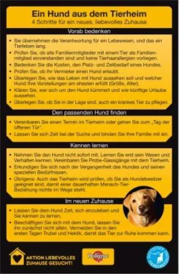Bild: Ein Hund aus dem Tierheim – Tipps und Infos zum „Hund aus zweiter Hand“