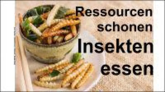 Bild: Ressourcen schonen - Insekten essen - Alternativ, Gesund und Nachhaltig