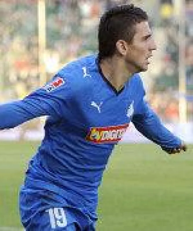 Kann gehalten werden: Torjäger Vedad Ibisevic