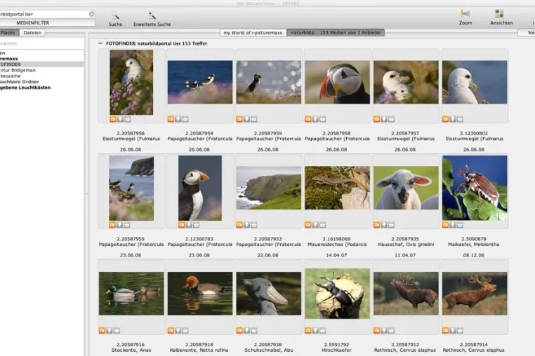 Das NATURBILDPORTAL jetzt erreichbar über iPicturemaxx Bild: Das NATURBILDPORTAL jetzt erreichbar über iPicturemaxx