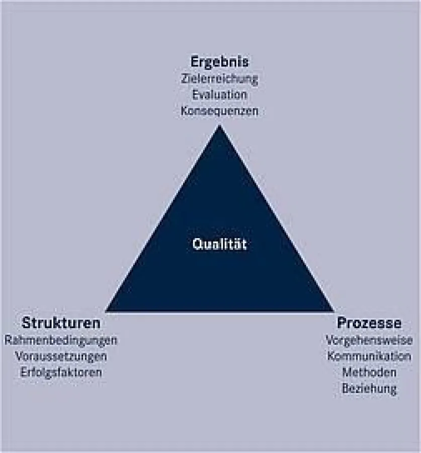 Qualitätsdimensionen im Business Coaching