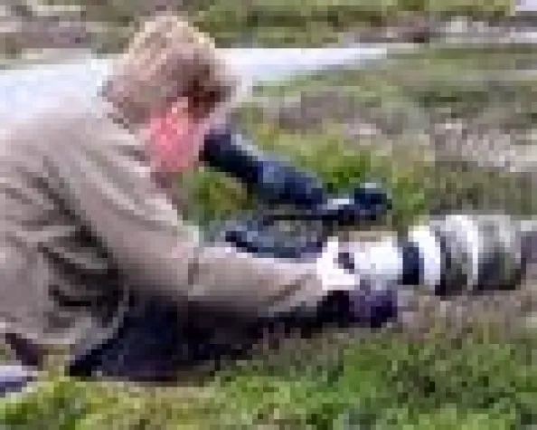 Bild: Ein Blick hinter die Kulissen – Tierfilmer bei der Arbeit