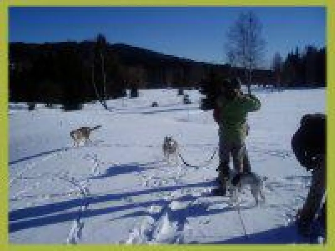 Hundewanderung im Winter