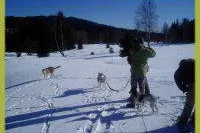 Bild: Urlaub im Bayerischen Wald - mit dem Hund sicher durch den Winter