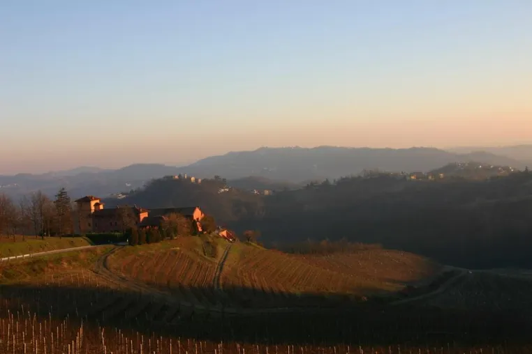 Bild: Vino è Amore